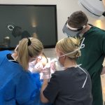 hair technicans planting a crown